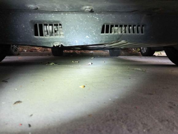 [合肥·皖A] 二手本田凌派2019款 180Turbo CVT豪华版 国VI