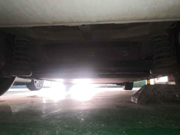 [南昌·赣A] 二手比亚迪海豚2021款 405km 时尚版