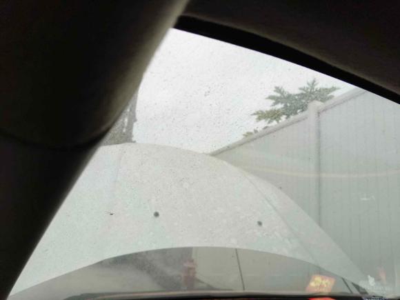 [深圳·桂K] 二手本田锋范经典2008款 1.5L 自动精英版