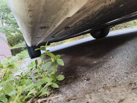 [合肥·皖A] 二手起亚起亚K32016款 1.6L 手动GLS