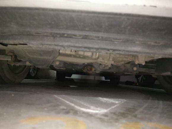 [深圳·粤L] 二手斯柯达昕动2016款 改款 1.6L 手动前行版