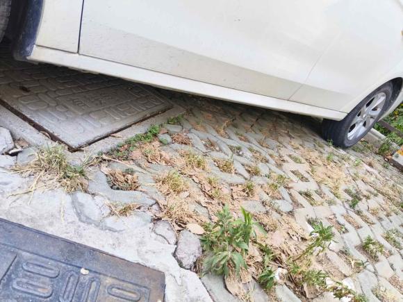 [南京·苏A] 二手雪铁龙爱丽舍2016款 1.6L 自动时尚型