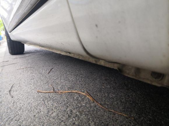 [上海·豫Q] 二手长安逸动2014款 1.6L 手动尊贵型