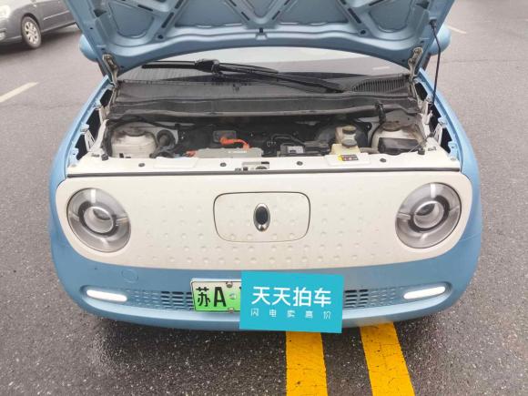 [南京·苏A] 二手欧拉欧拉黑猫2021款 351km 豪华型