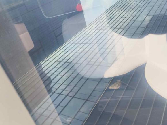 [杭州·浙A] 二手特斯拉Model Y2024款 后轮驱动版