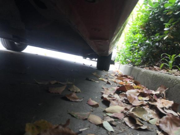 [上海·沪C] 二手福特嘉年华2011款 两厢 1.5L 自动时尚型