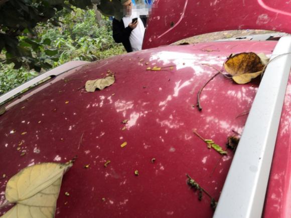 [深圳·苏E] 二手奇瑞瑞虎3x2018款 1.5L 自动精英版