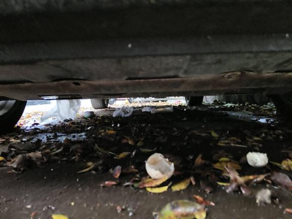 [广州·粤S] 二手现代领动2018款 1.4T 双离合炫动·活力型