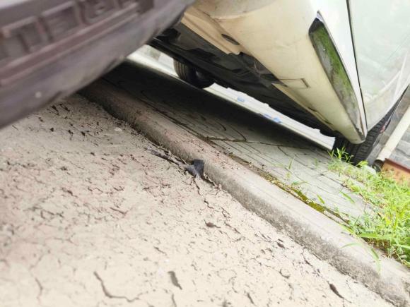 [南通·苏F] 二手奔驰奔驰A级AMG2016款 AMG A 45 4MATIC