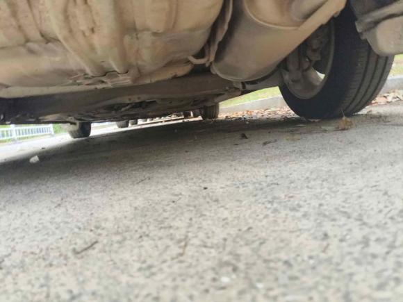 [南昌·赣A] 二手本田锋范经典2008款 1.5L 自动精英版