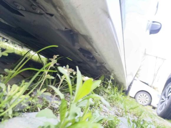 [台州·浙J] 二手奔驰奔驰A级2020款 改款 A 180 L 运动轿车特殊配置