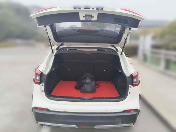 [嘉兴·浙F] 二手日产逍客2021款 2.0L CVT豪华版