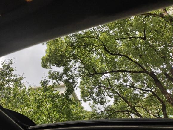 [上海·沪D] 二手丰田普拉多2005款 4.0L 自动GX豪华DVD版