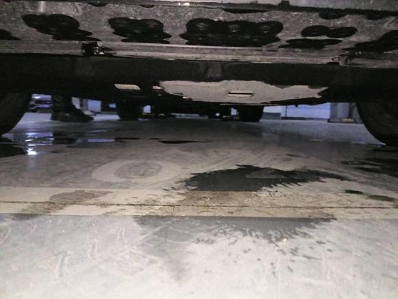 [嘉兴·浙F] 二手红旗红旗H92020款 2.0T 智联旗享版