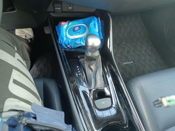 [合肥·皖A] 二手丰田奕泽IZOA2021款 2.0L 奕驰版