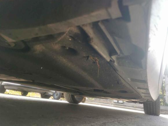 [台州·浙J] 二手大众迈腾2018款 280TSI DSG 舒适型