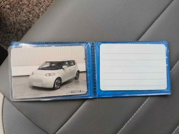 [西安·陕A] 二手欧拉欧拉白猫2020款 305km 豪华型