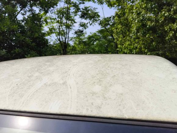 [武汉·鄂A] 二手金杯金杯海狮2014款 2.0L豪华型V19