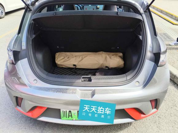 [成都·川A] 二手比亚迪海豚2021款 405km 时尚版