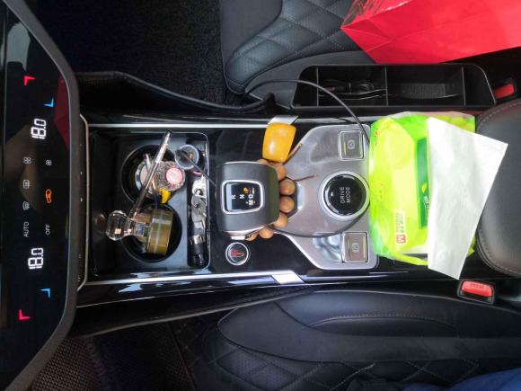 [义乌·浙G] 二手红旗红旗HS52019款 2.0T 智联旗享版