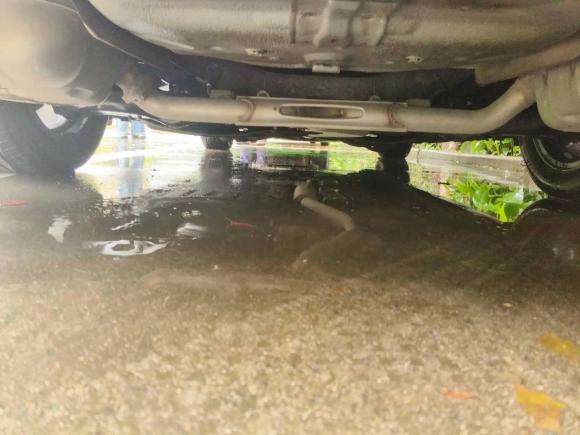 [嘉兴·浙F] 二手本田思域2016款 220TURBO CVT豪华版