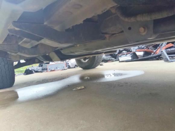 [常州·皖D] 二手坦克坦克3002021款 越野版 2.0T 征服者