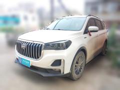 [武汉·鄂A] SWM斯威汽车SWM斯威G052021款 PRO 1.5T 自动豪华型 7座