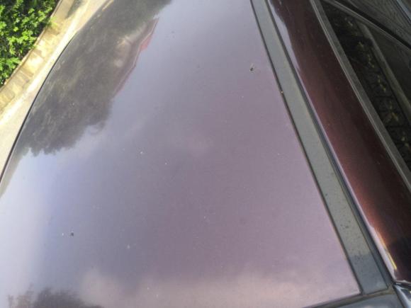 [金华·浙G] 二手雪铁龙世嘉2012款 三厢 1.6L 自动品尚型