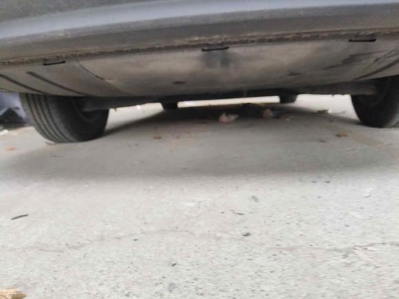 [上海·沪A] 二手大众朗逸纯电2019款 优享版