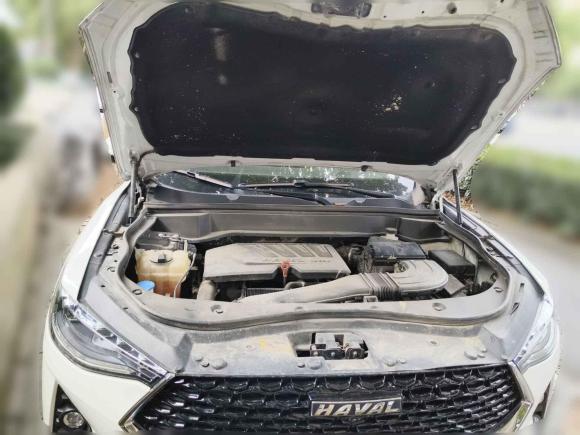 [合肥·渝D] 二手哈弗哈弗F7x2019款 1.5T 两驱极智潮玩版