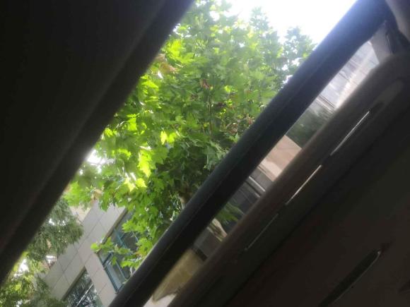 [杭州·浙A] 二手福特麦柯斯2008款 2.3L 7座豪华型