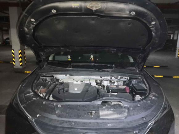 [常州·苏D] 二手比亚迪唐2018款 2.0T 自动智联尊悦型 7座 国V