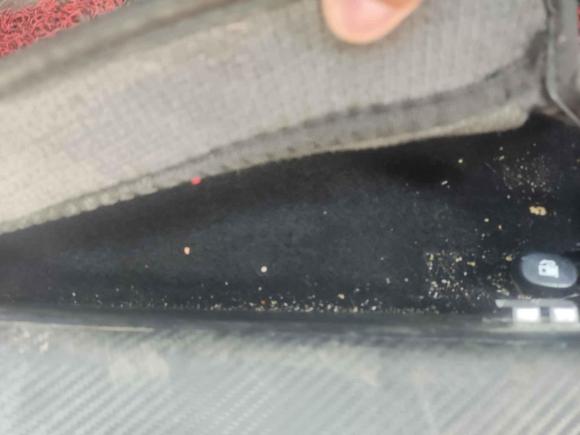 [青岛·鲁U] 二手长安长安CS55PLUS2022款 第二代 1.5T DCT领航型