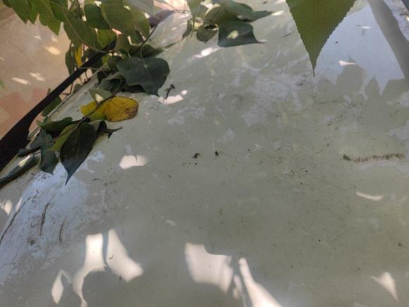 [西安·甘E] 二手启辰启辰T702015款 1.6L 手动睿行版