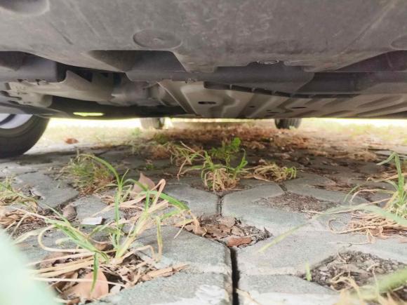 [上海·沪F] 二手本田雅阁2022款 锐·混动 2.0L 幻夜·锐智版