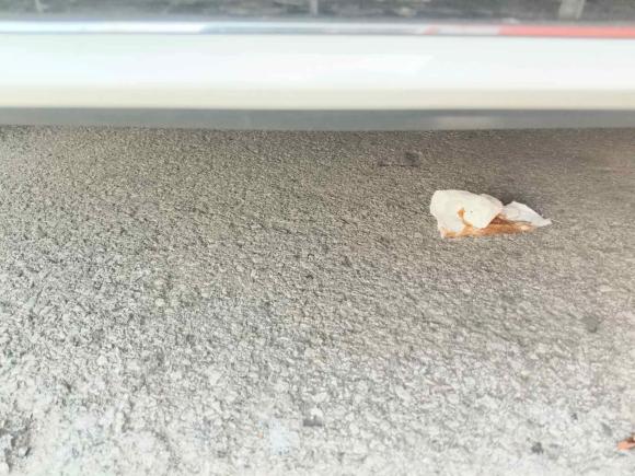 [南京·苏A] 二手大众凌渡2019款 230TSI DSG视野版 国VI