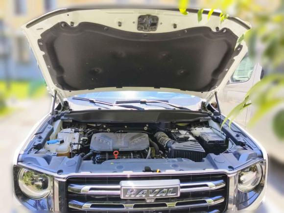 [合肥·皖A] 二手哈弗哈弗大狗2021款 2.0T DCT四驱中华田园犬版