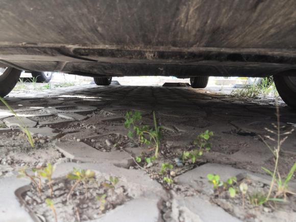 [成都·川A] 二手大众宝来2019款 1.5L 手动舒适型