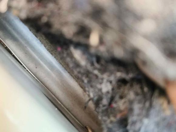 [佛山·粤E] 二手日产阳光2011款 1.5XV CVT尊贵版