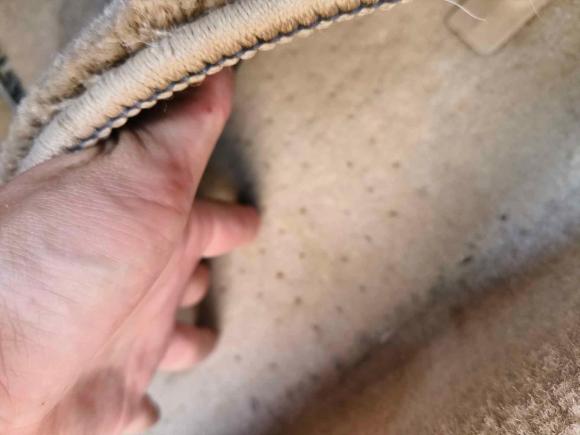 [合肥·皖A] 二手讴歌讴歌TL2009款 3.5标准版