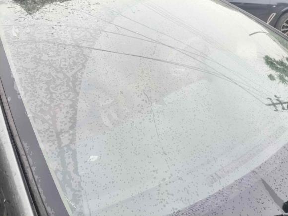 [温州·浙C] 二手本田锋范经典2008款 1.5L 自动精英版