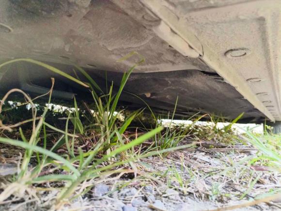 [佛山·粤E] 二手本田凌派2019款 180Turbo CVT舒适版 国V