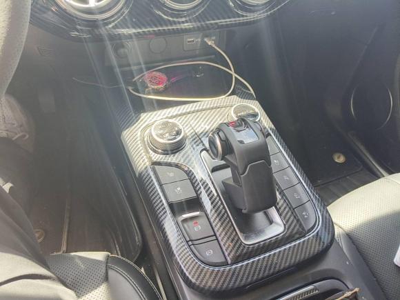 [嘉兴·浙G] 二手坦克坦克3002021款 城市版 2.0T 很有型