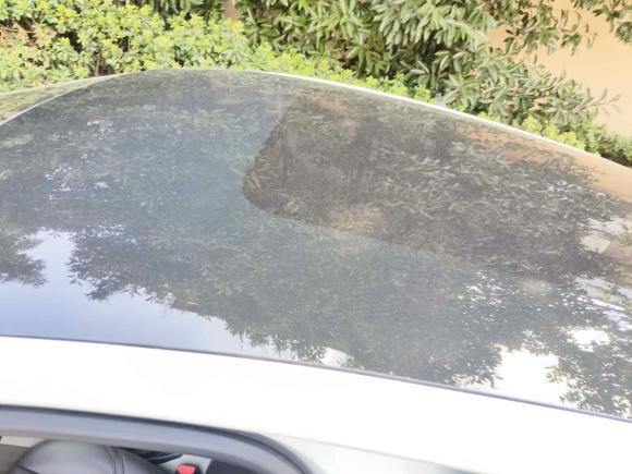 [上海·沪G] 二手沃尔沃沃尔沃V402014款 2.0T 智雅版