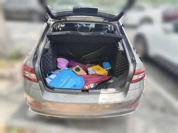 [杭州·浙A] 二手斯柯达明锐2018款 TSI230 DSG豪华版