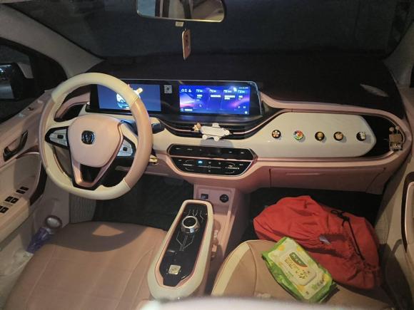 [合肥·苏A] 二手长安长安奔奔E-Star2022款 赏心版 多彩款 磷酸铁锂