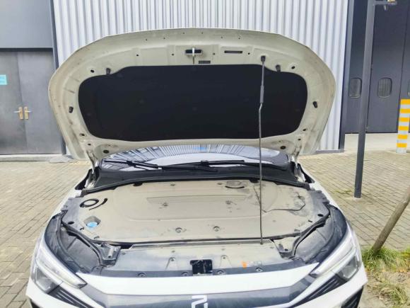 [上海·沪A] 二手飞凡汽车飞凡ER62021款 新动版 520km 智领版