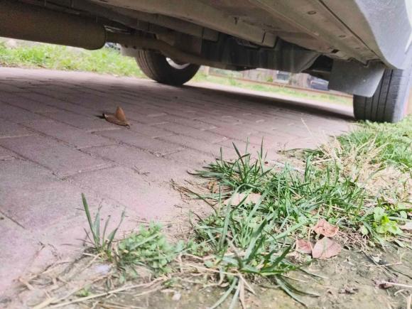 [西安·陕A] 二手日产楼兰2019款 2.5L XL 两驱智联豪华版 国V