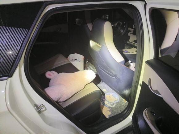 [合肥·皖A] 二手比亚迪海豚2023款 420km 时尚版