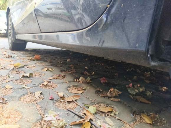 [武汉·鄂A] 二手本田凌派2013款 1.8L 自动豪华版